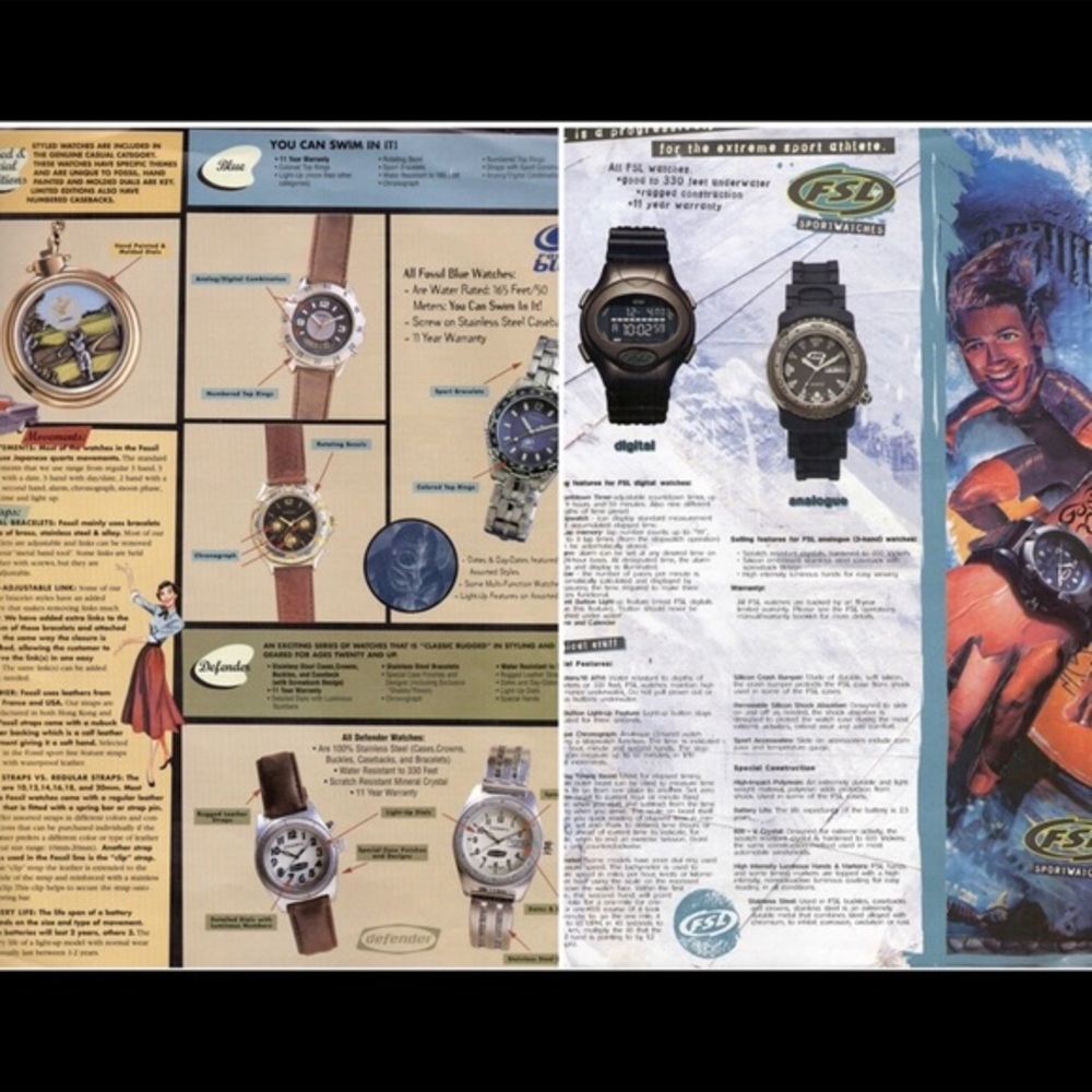 >FOSSIL LIBRARY< - Picture 4 of 10